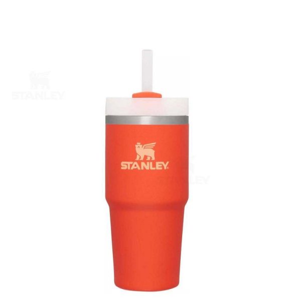 Stanley The Quencher H2.0 FlowState™ 14 oz Insulated Tumbler