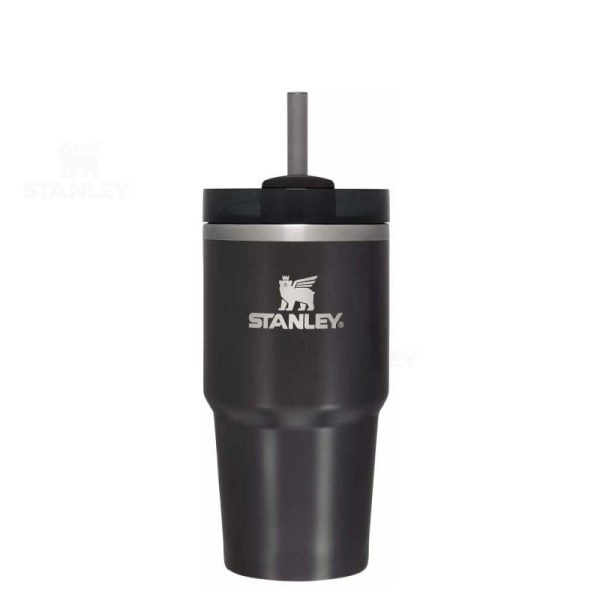 Stanley The Quencher H2.0 FlowState™ 20 oz Insulated Tumbler