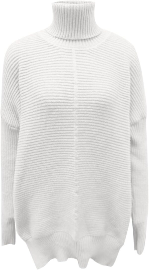Soft Winter Sweater High Roll Neck Batwing Sleeves Generic-1